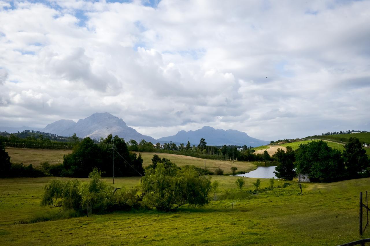 Zebra Cottage And Lodge Stellenbosch Eksteriør billede
